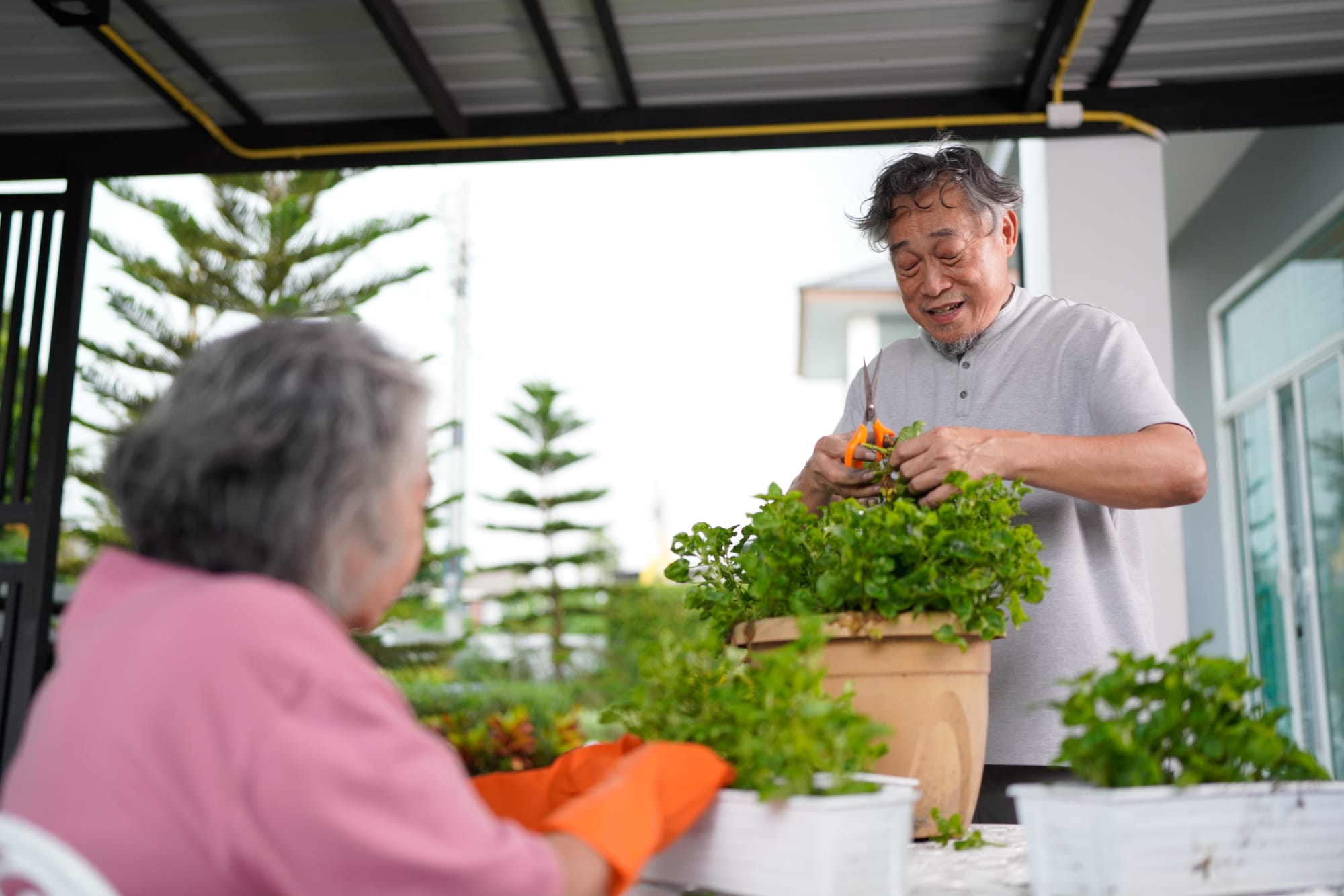 A healthy older couple preparing a nutritious meal for aging