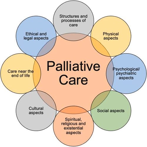 a graph of palliative care